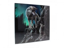 Guidance (Lisa Parker) Large Crystal Clear Picture 40cm